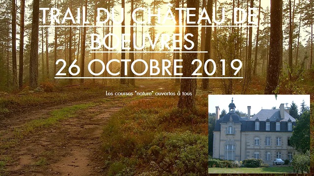 Vue des sous bois ensoleillés avec photo du chateau