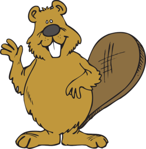 Un cator faisant signe de l'aurevoir de la patte