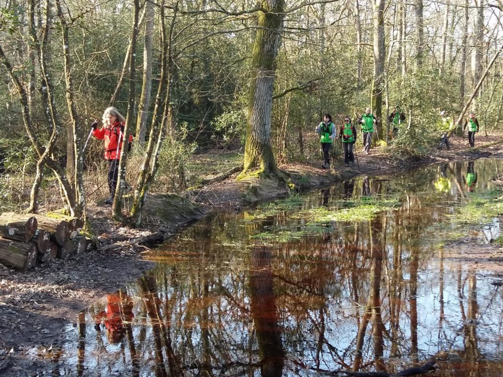 Pas faciles les ballades du dimanche, mais tellement agréables. !