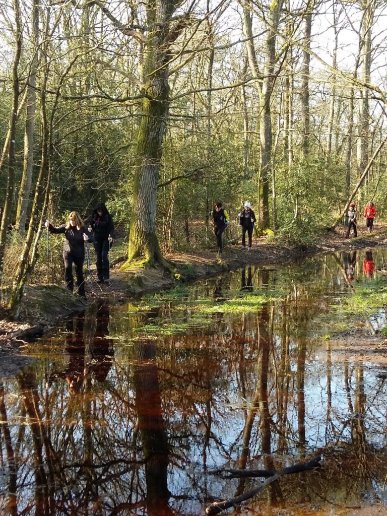 Aie aie aie ! je ne sais pas nager.