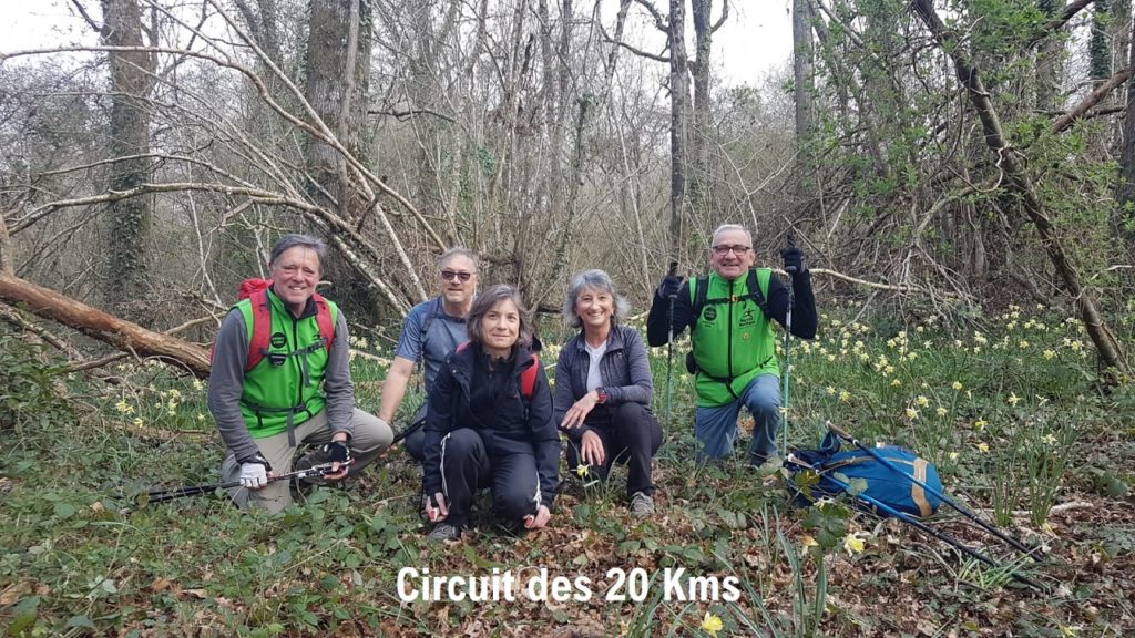 Groupe des 5 marcheurs du circuit des 20 km posant en forêt parmi les jonquilles