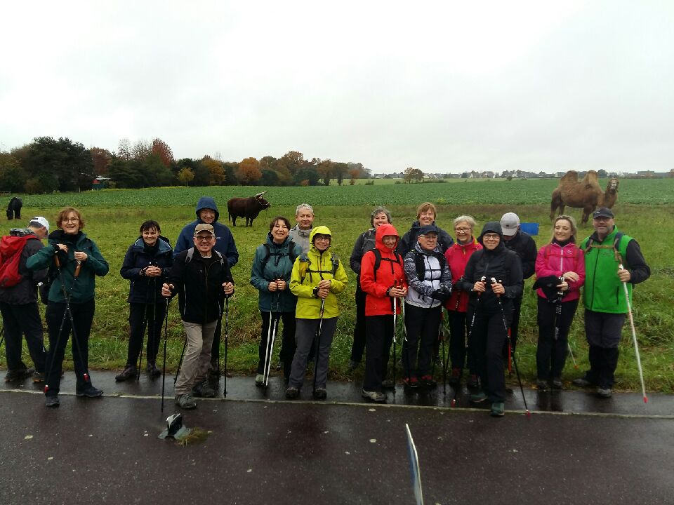 Le groupe de marche du dimanche pose avec en arrière plan des animaux atypiques