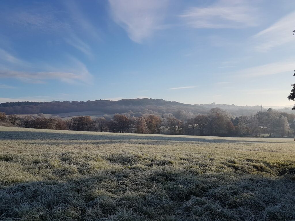 prairie avec en arrière plan les bois de la vallée du Boël