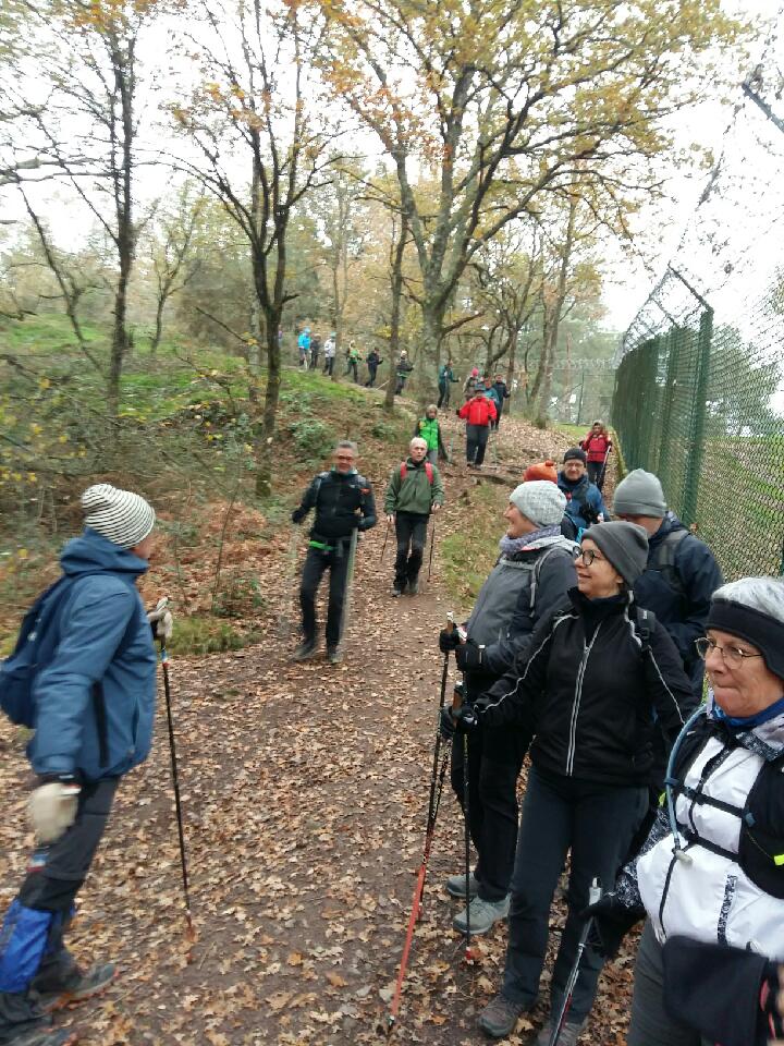Le long de la clôture du Celar
