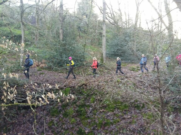 Dimanche-15Janv2923-MN-no1