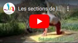Jaquette de la vidéo des sections de la JA