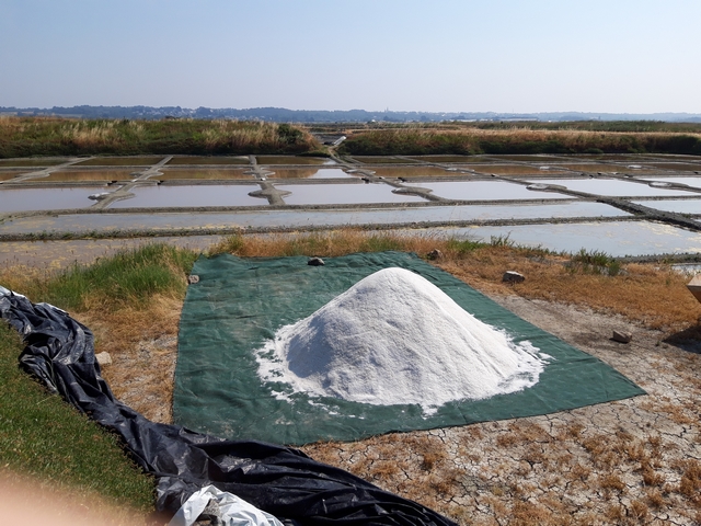 Sortie à Guérande 14 juin 2023