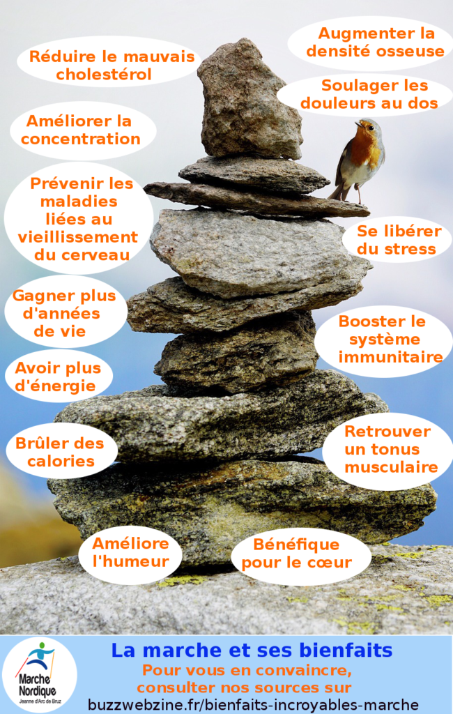 Un oiseau perché sur un cairn